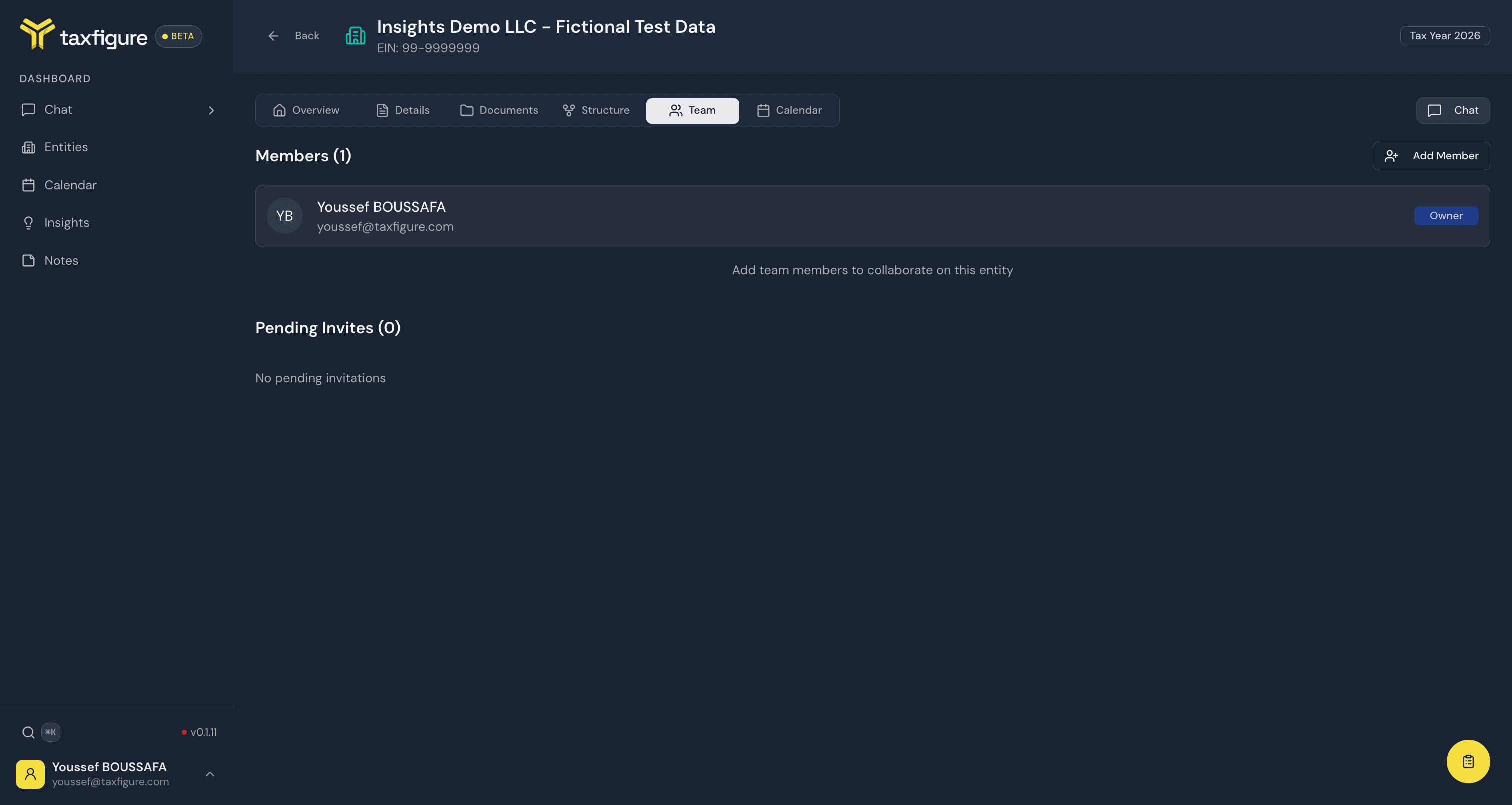Entity Team tab
