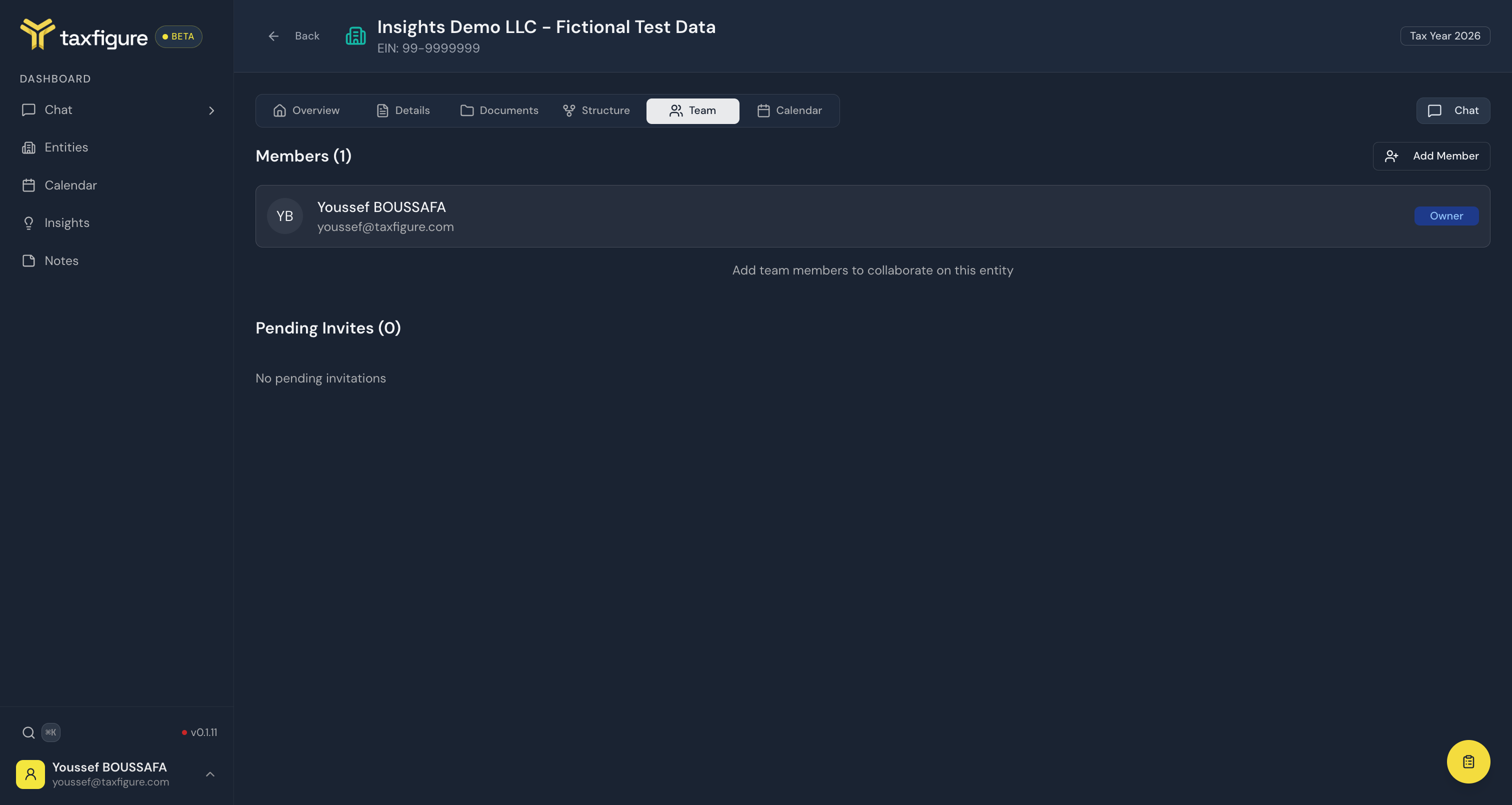 Entity Team tab